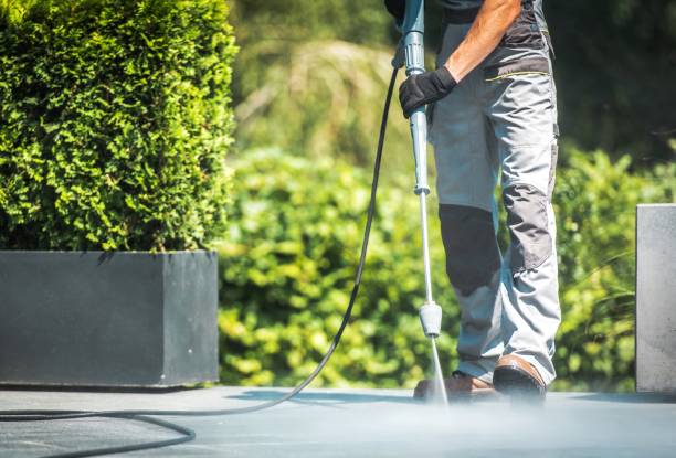 Best Solar Panel Cleaning  in Carbondale, CO