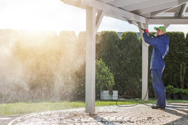 Best Dumpster Area Cleaning  in Carbondale, CO