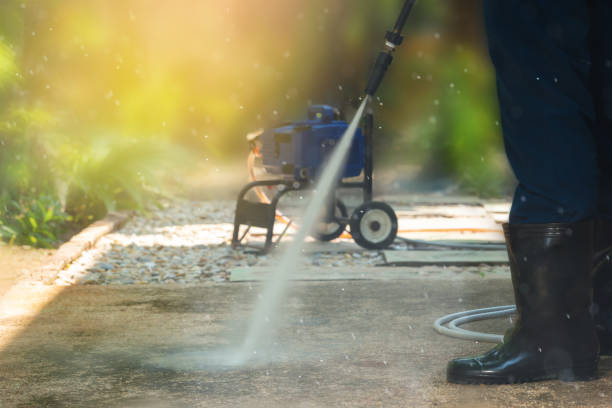 Best Roof Washing  in Carbondale, CO